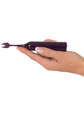 Spot Vibrator with 2 tips